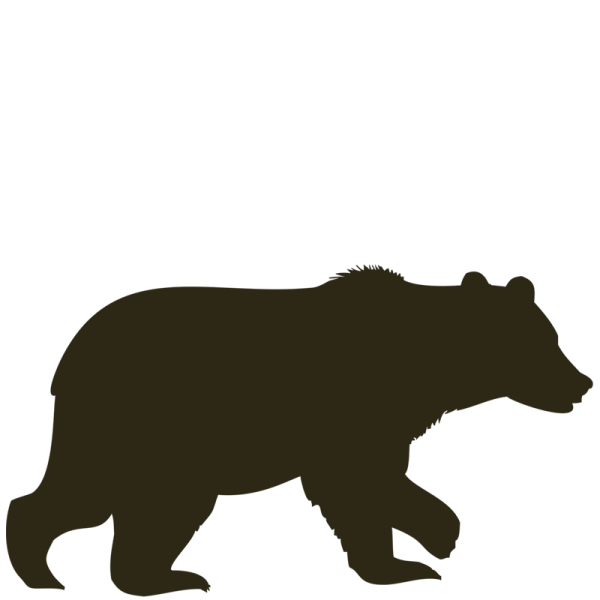 Медведь символ