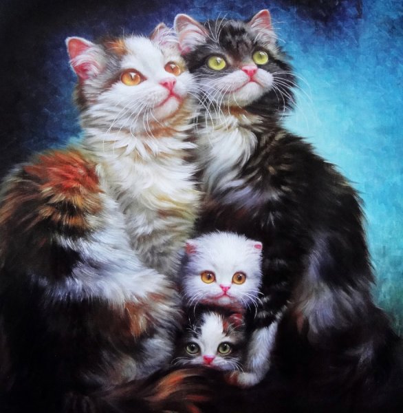 Семья котов