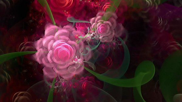 Фантастически красивые цветы
