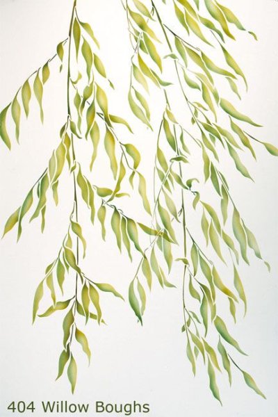 Salix starkeana