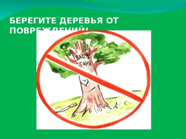 Берегите деревья для детей