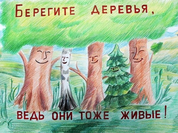 Берегите леса от вырубки