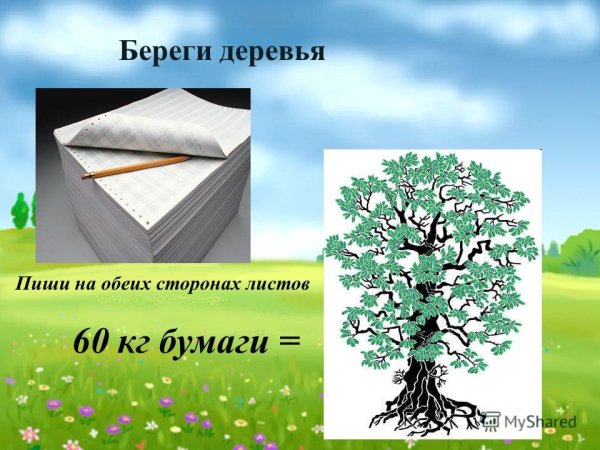 Экономьте бумагу берегите деревья