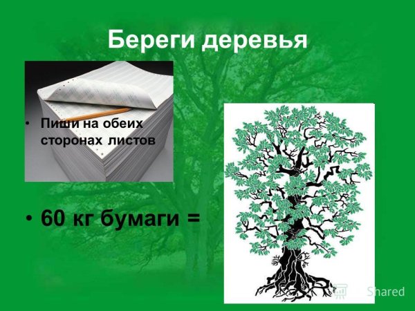 Экономьте бумагу берегите деревья