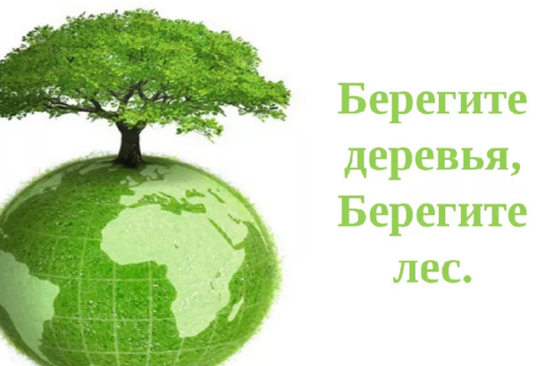 Берегите природу