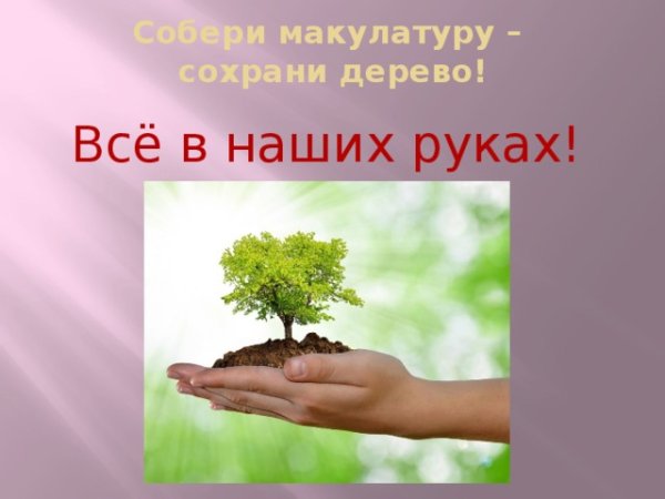 Собери макулатуру сохрани дерево