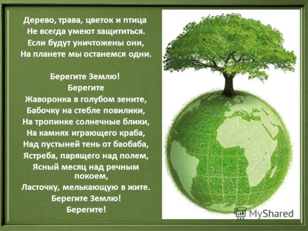 Берегите деревья