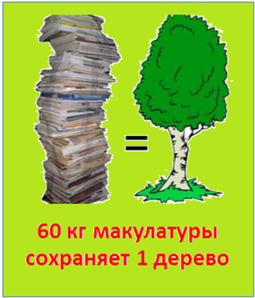 Сбор макулатуры дерево