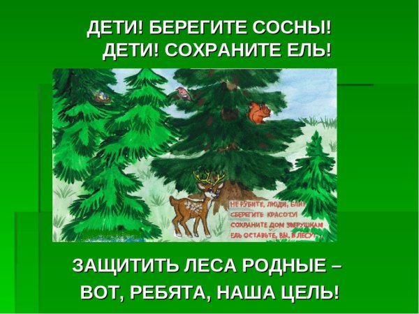 Плакат берегите елочку