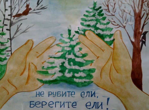 Плакат в защиту елок