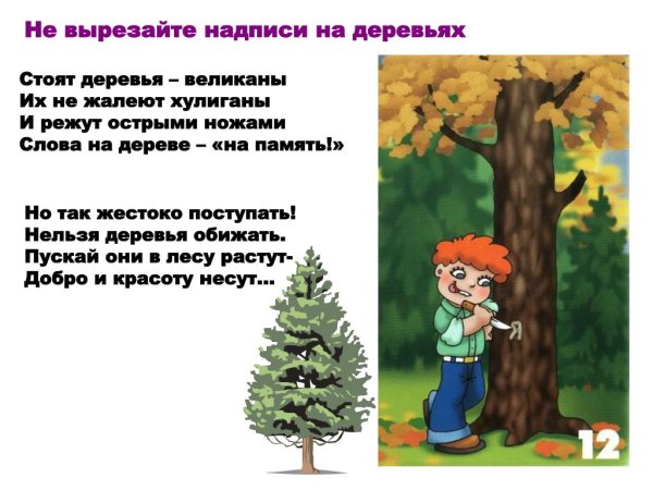 Стихи о правилах поведения в лесу для детей