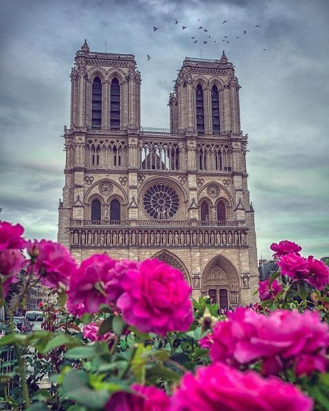 Собор Парижской Богоматери (Нотр-дам)