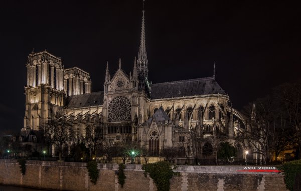 Собор Нотр дам