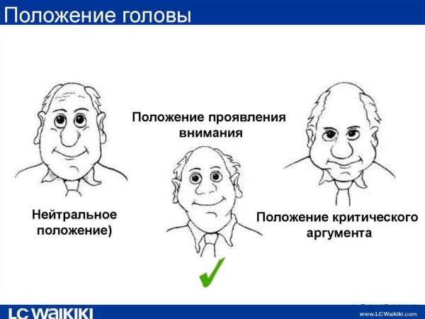 Три основных положения головы