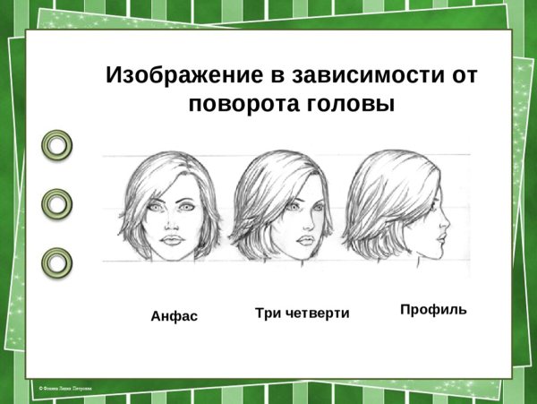 Анфас и профиль