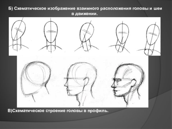 Поворот головы в портрете