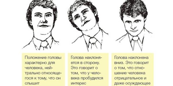 Голова в разных ракурсах