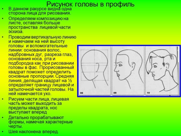 Положение головы прямо