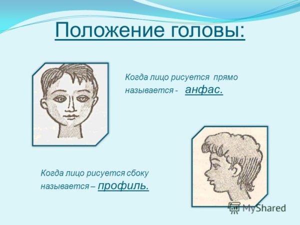ФАС анфас