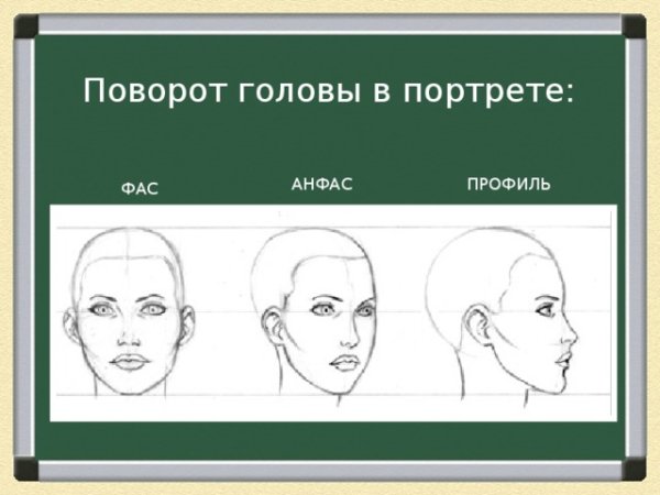 Этапы рисования головы