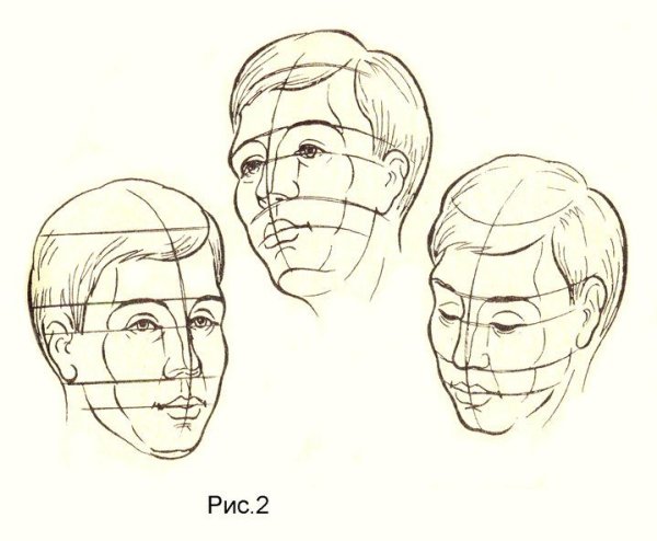 Рисунок головы в три четверти