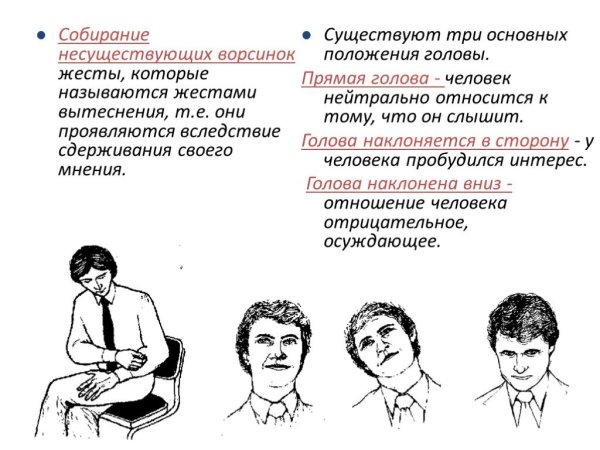 Женское лицо в разных ракурсах