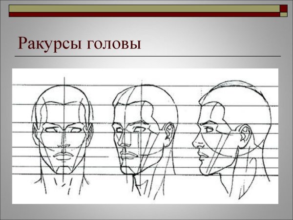 Голова сзади референс