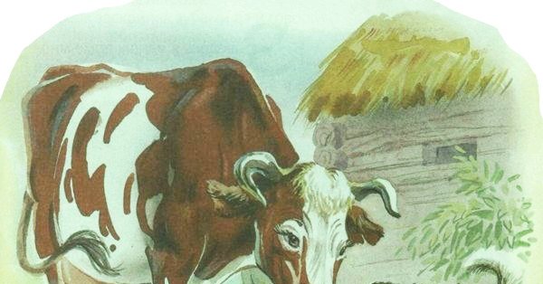 Бодливая корова Ушинский иллюстрации