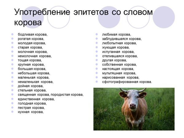Волк и корова