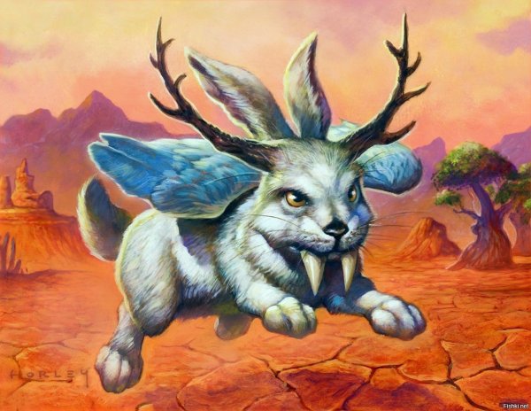 Jackalope мифология