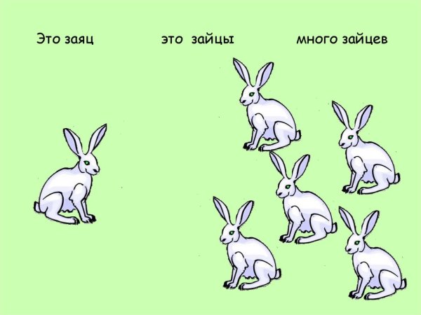 Один Зайчонок много зайчат