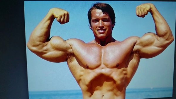 Арнольд Шварценеггер вакуум