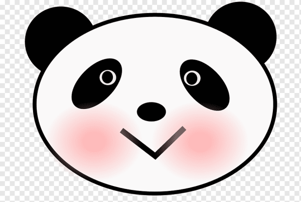 Comfy Bear face Test