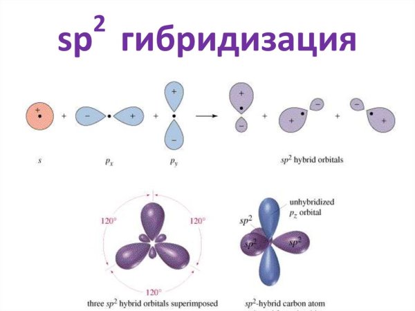 SP^2-SP 2 − гибридизации?
