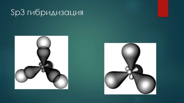 Образование гибридных орбиталей в sp3 гибридизации