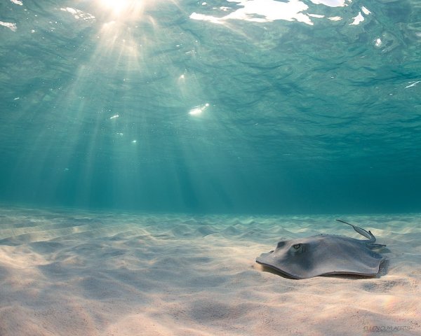 Под водой