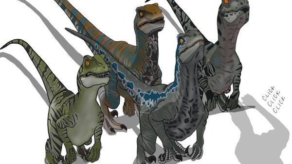 Раптор Блю и Чарли и Эхо и Дельта