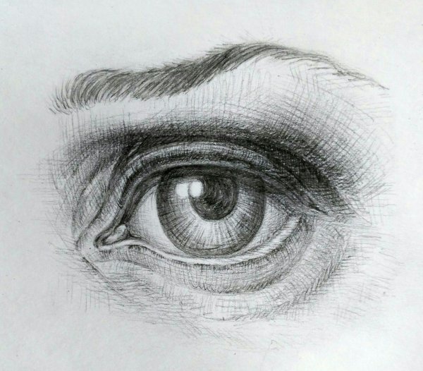 Глаза рисунок
