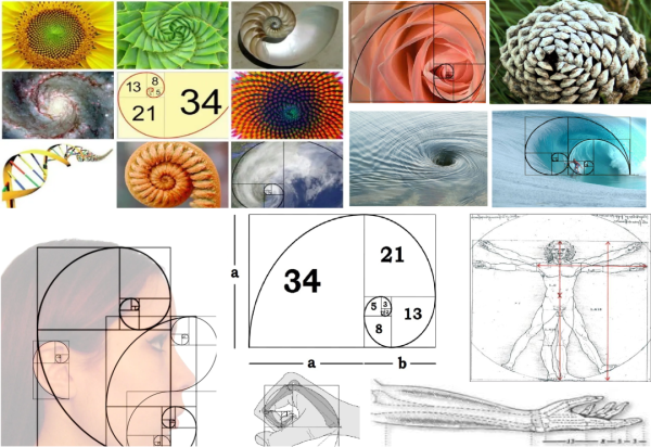Золотое сечение Фибоначчи