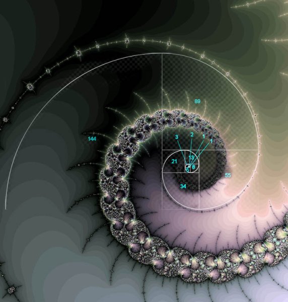 Числа Фибоначчи спираль