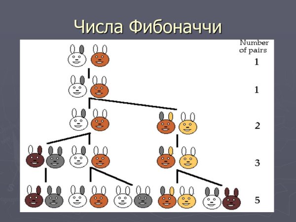 Числа Фибоначчи