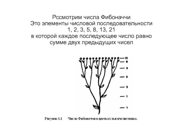 Комбинации Фибоначчи
