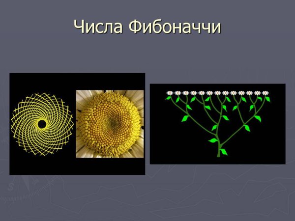 Таблица спирали Фибоначчи