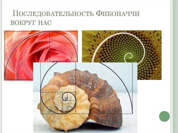 Принцип золотого сечения Фибоначчи