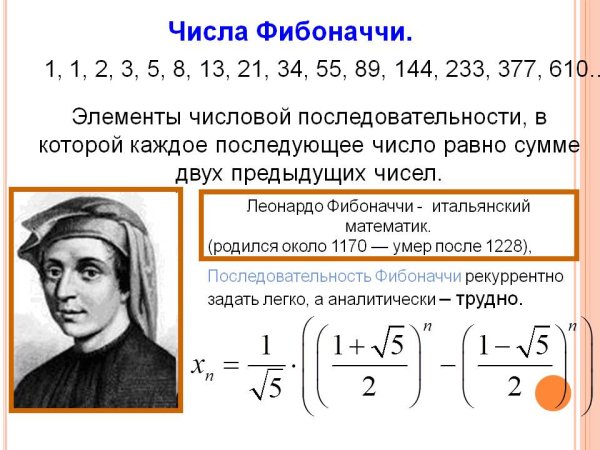 Ряд Фибоначчи в природе