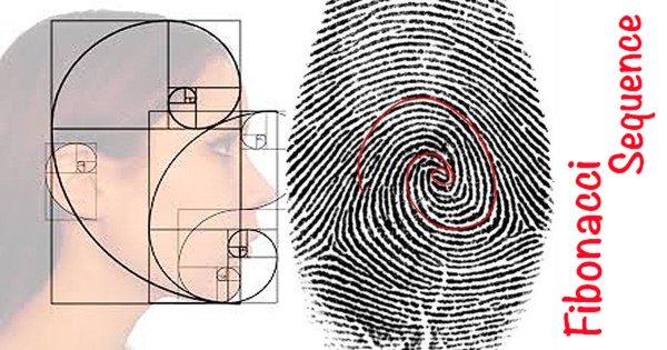 Леонардо Пизанский портрет