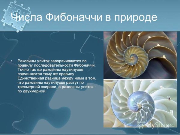 Леонардо Фибоначчи последовательность