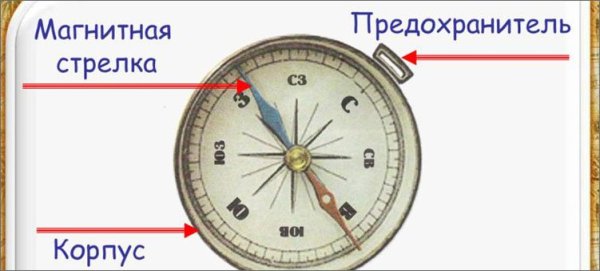 Строение компаса рисунок