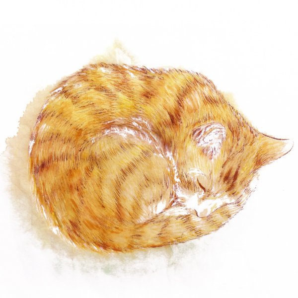 Кот клубочком