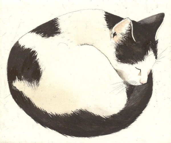 Нарисовать кота клубочком